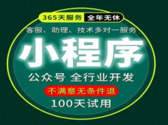 微信小程序开发 APP制作 网站建设开发 SEO优化