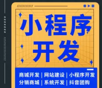 微信小程序开发、分销商城、网站公众号H5、软件定制开发、抖音